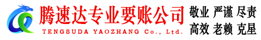 盐田追债公司